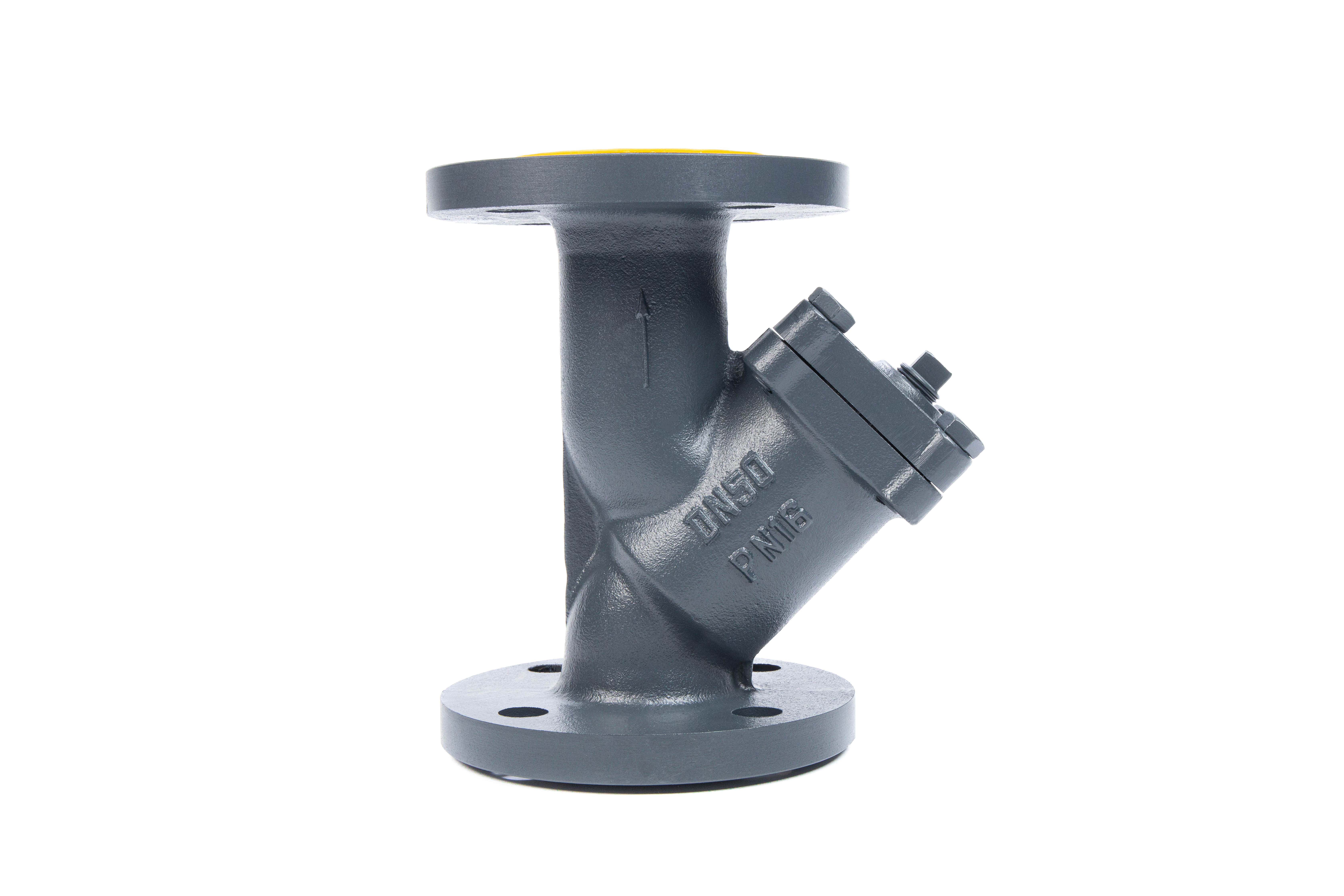 Ридан 082X4068R — Фильтр ФСФ PN16, DN100 с пробкой, корпус GG25